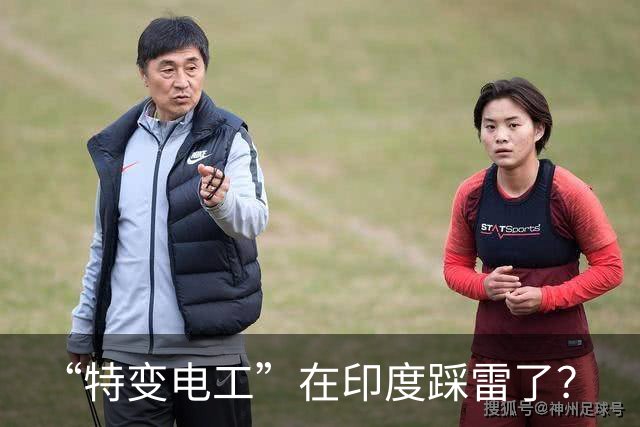 “特变电工”在印度踩雷了？